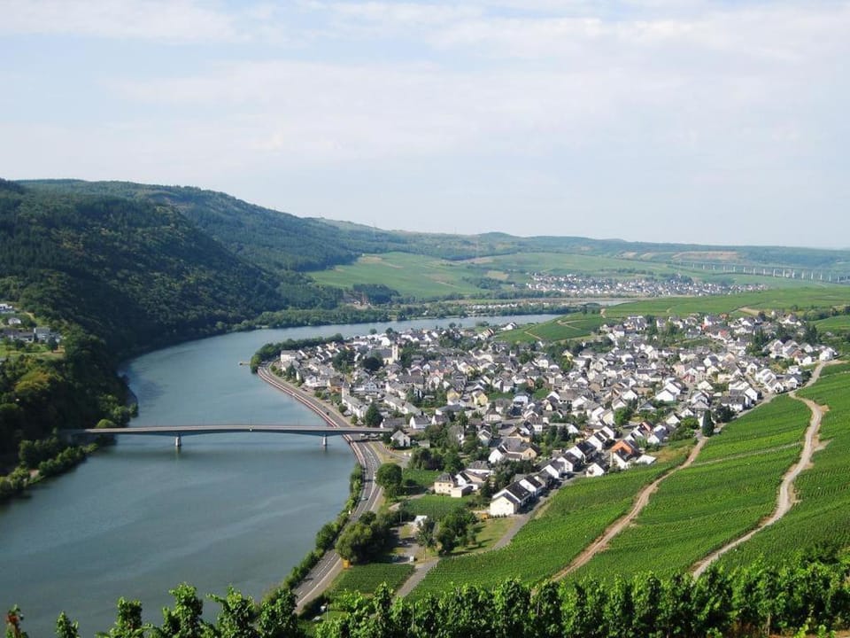 Gästehaus Am Rebenhang Bed and Breakfast in Trier-Saarburg
