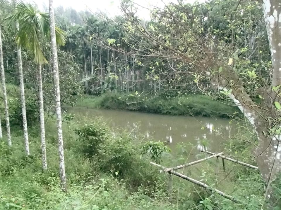Natural landscape