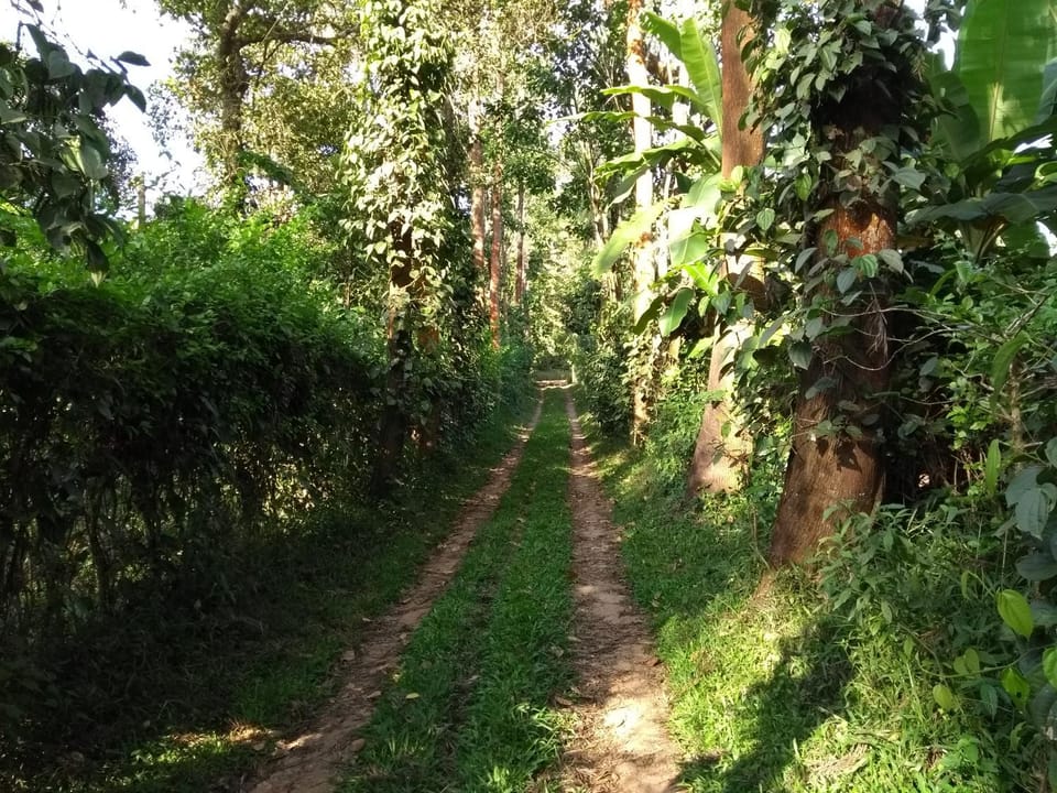 Coorg 4 C's Little Paradise Vacation rental in Kerala