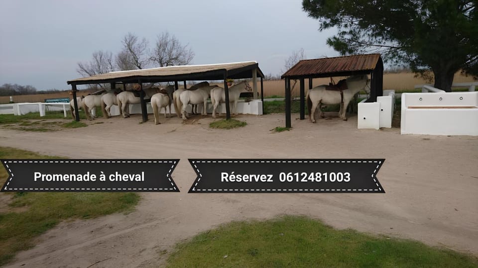 Off site, Activities, Horse-riding