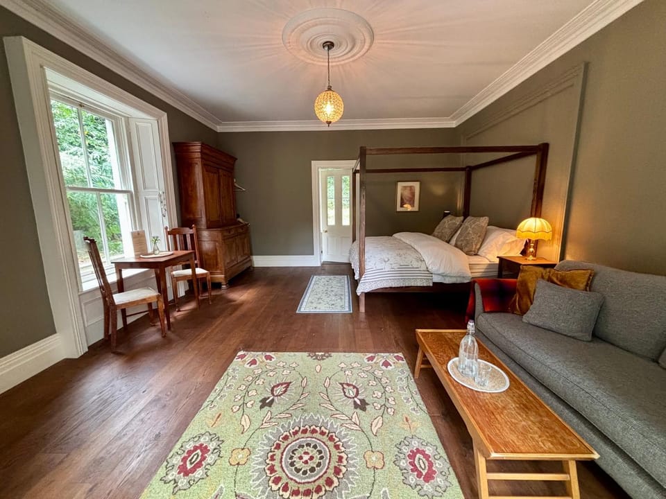 Bed, Living room, Photo of the whole room, Seating area, Bedroom