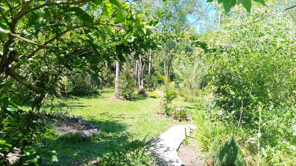 Natural landscape, Garden, Garden view