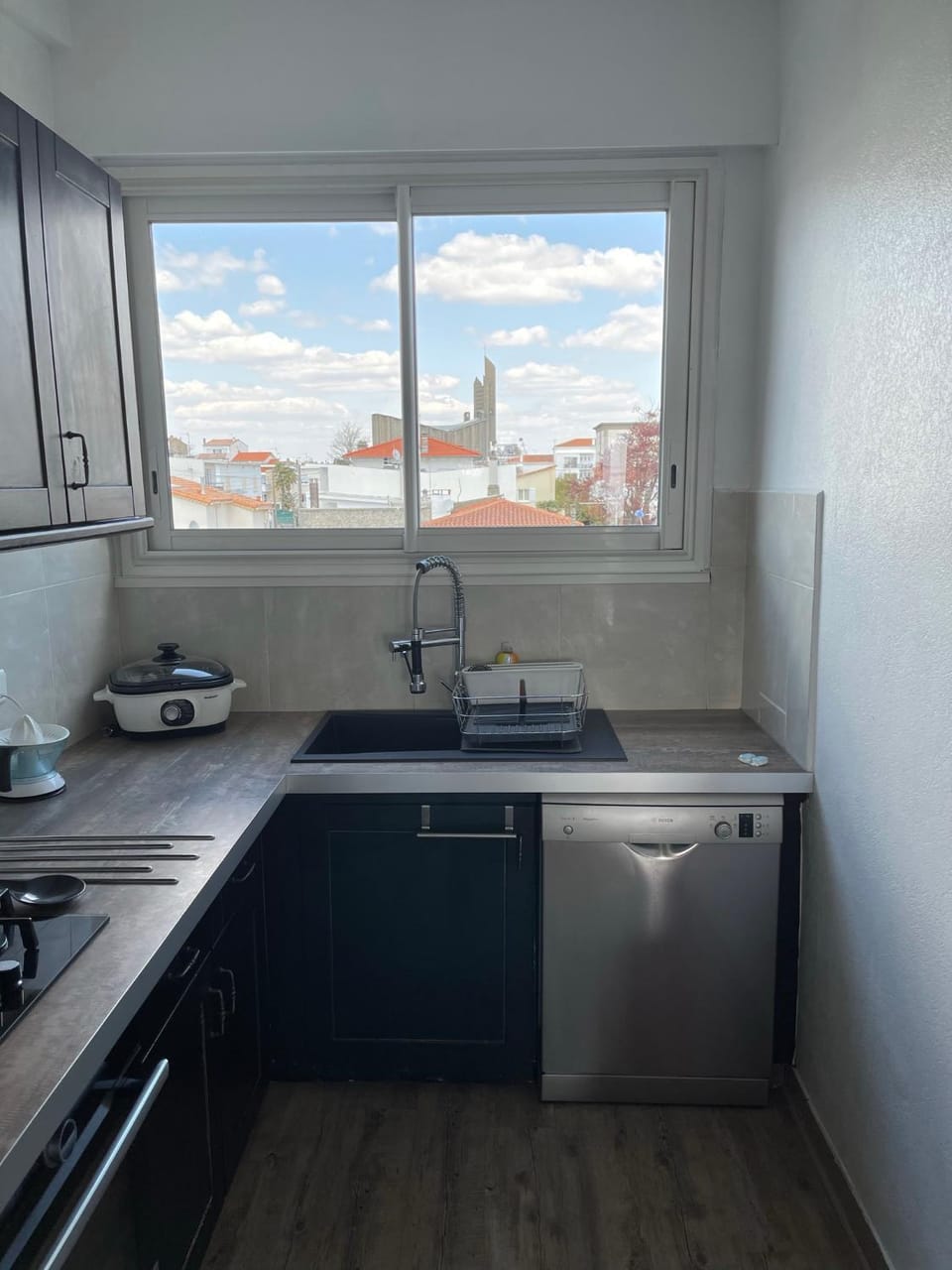 Kitchen or kitchenette, dishwasher, stove