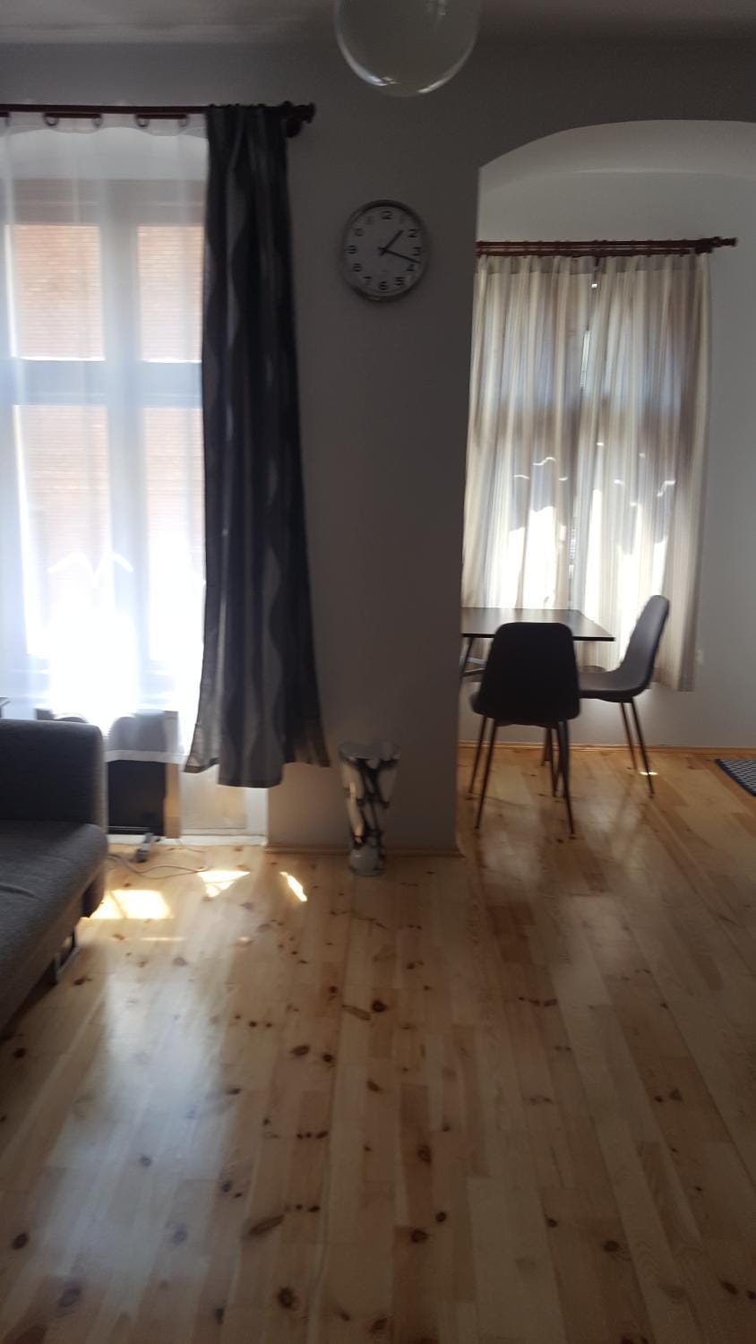 Apt nr 1 - cogito.home- Starówka z 9 okien Apartment in Greater Poland Voivodeship