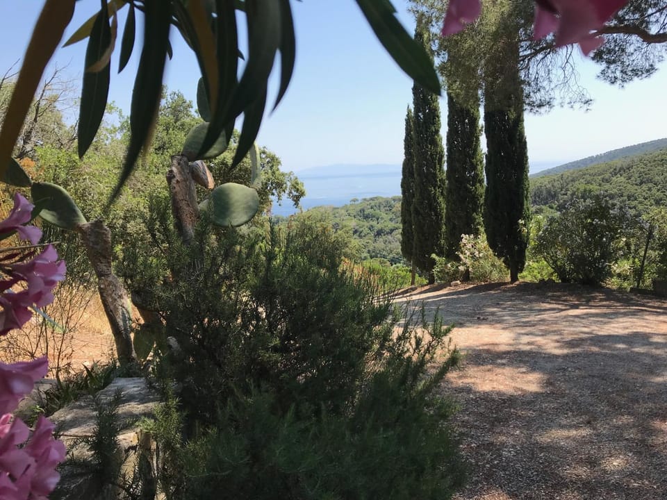 Villetta Straccoligno House in Capoliveri