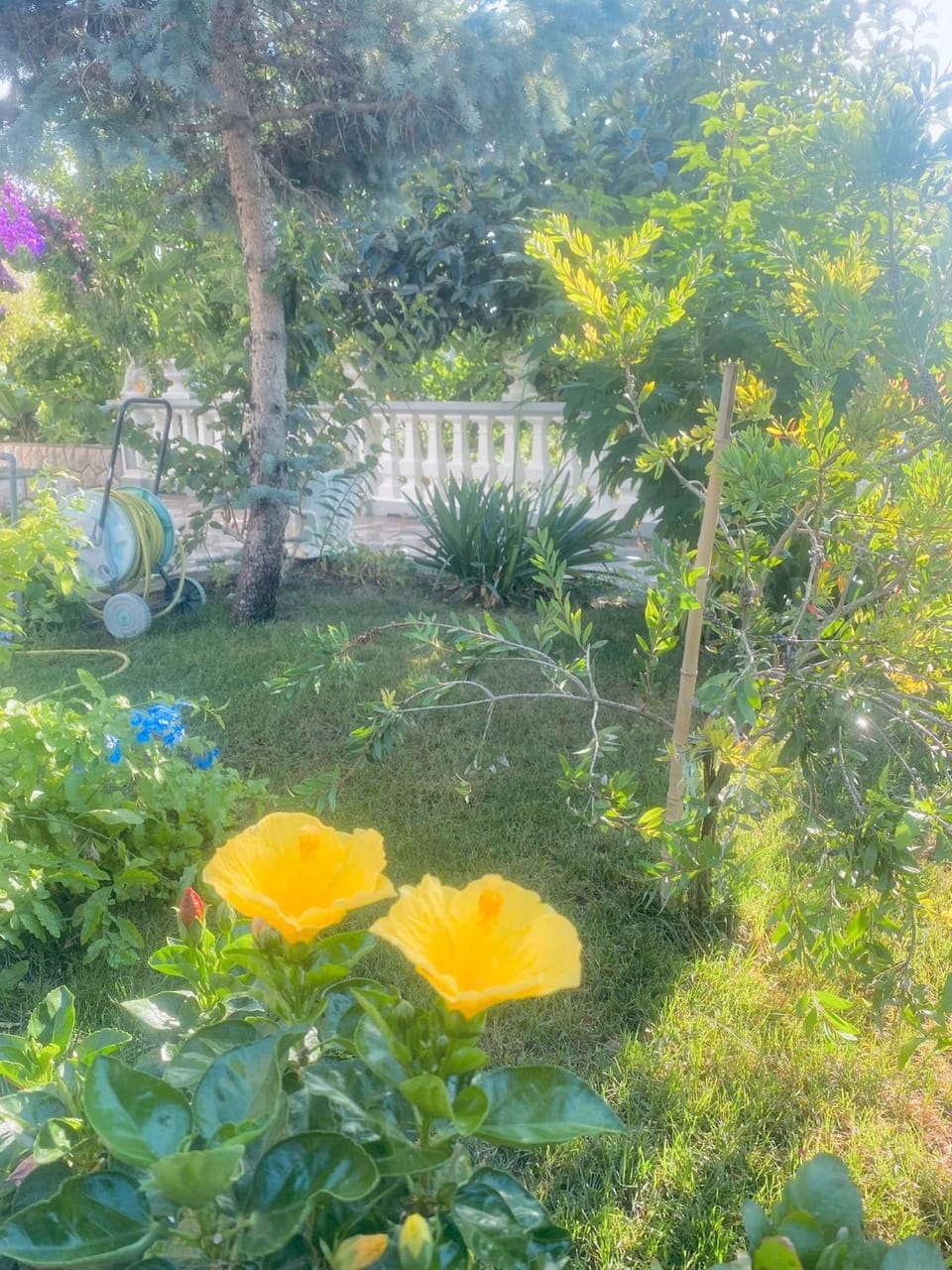 Apartmani Rab Apartment in Supetarska Draga