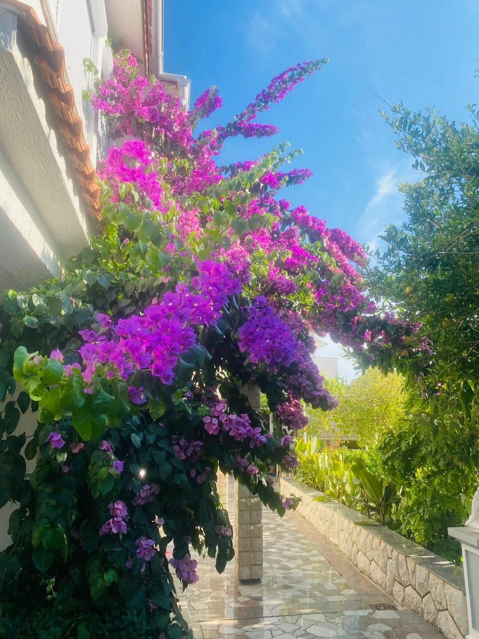 Apartmani Rab Apartment in Supetarska Draga