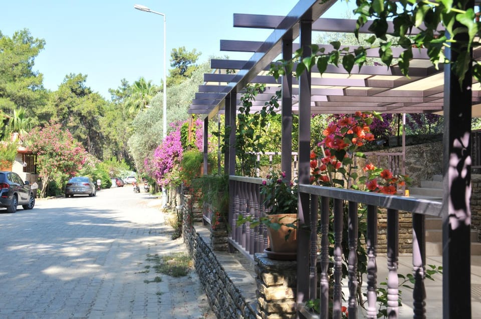 Garden, Street view