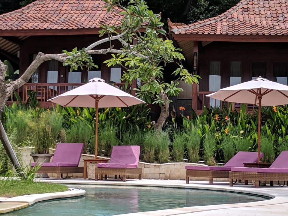 Pool view, Swimming pool
