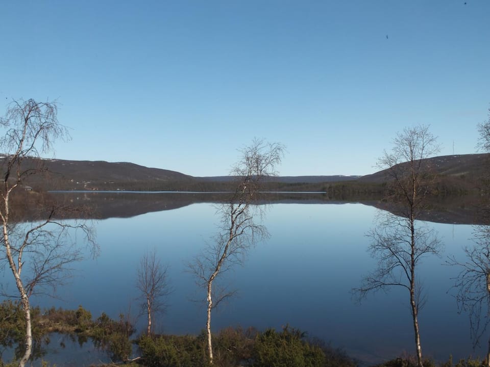 Neighbourhood, Natural landscape, Summer, Lake view