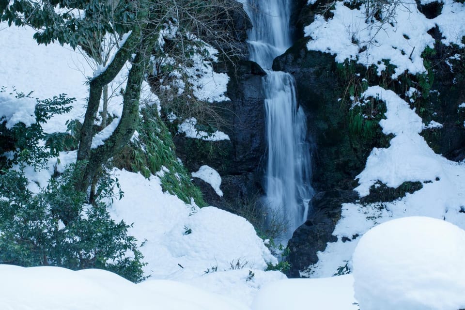 Natural landscape, Winter, Garden, Mountain view