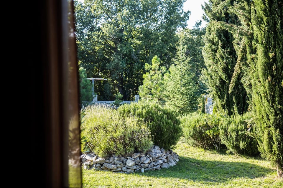 Garden view