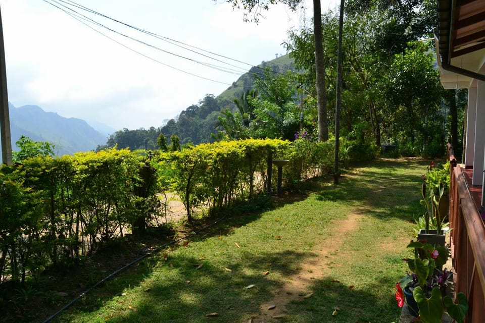 Day, Natural landscape, Garden, Garden view