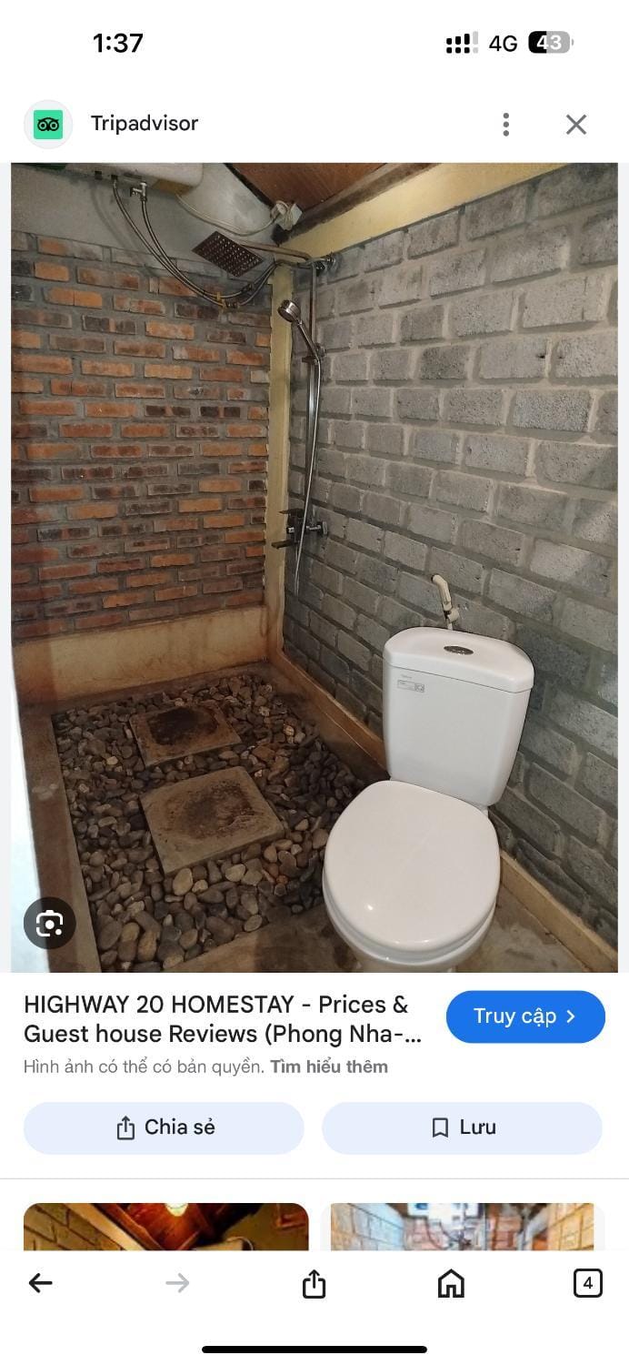 Toilet