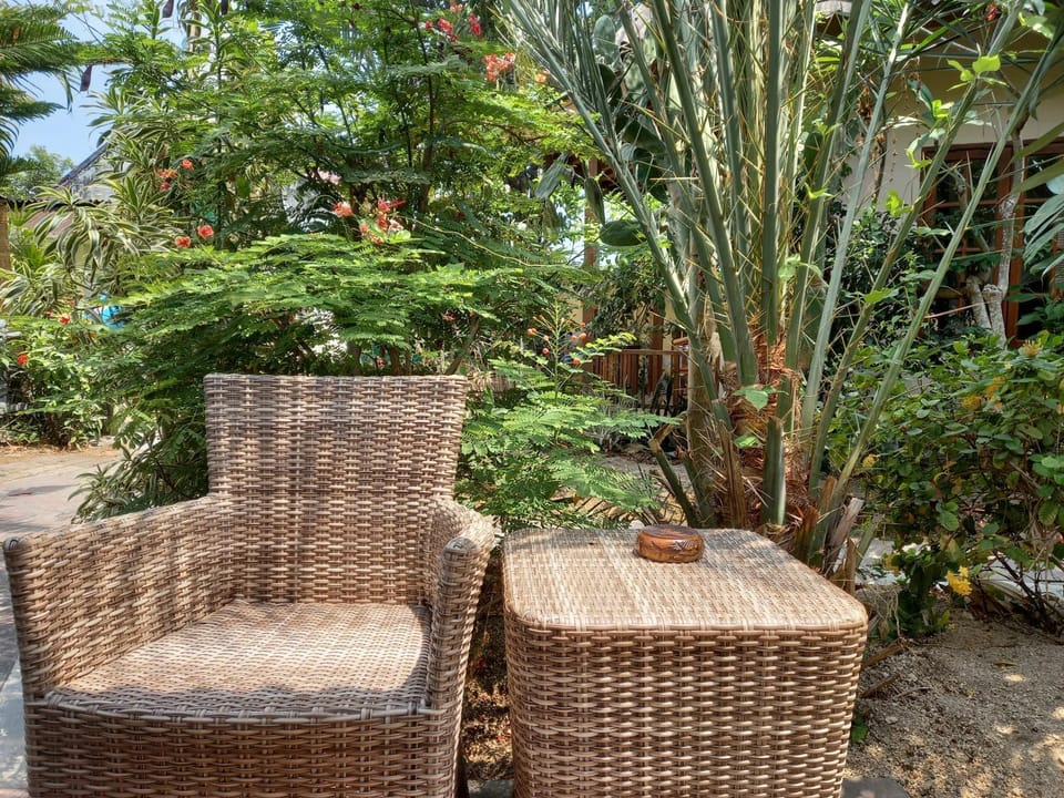 Garden view