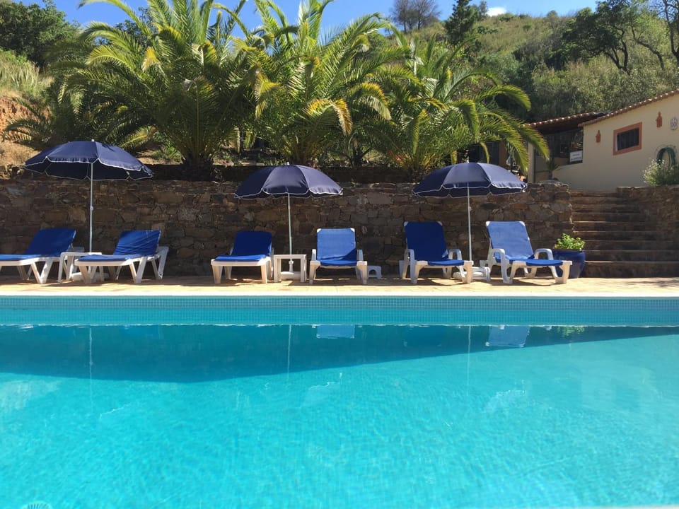 Natural landscape, Garden view, Swimming pool, sunbed