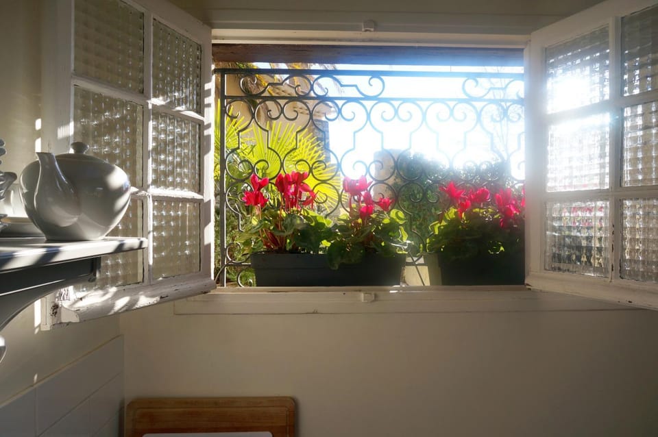Kitchen or kitchenette, Garden view