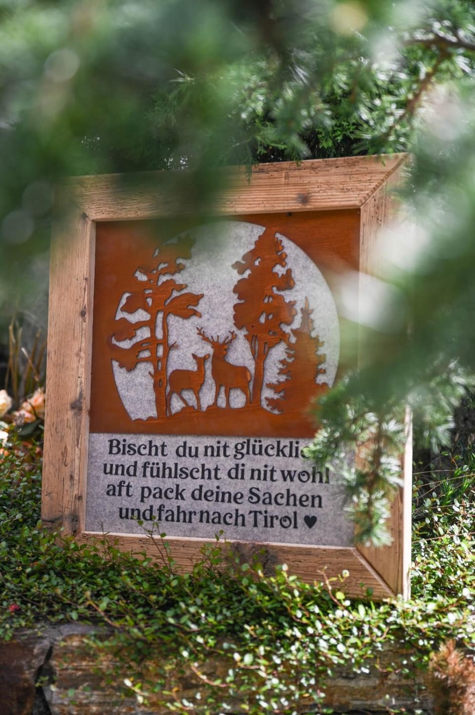Ferienhaus Schneiderhäusl Zillertal Apartment in Tyrol