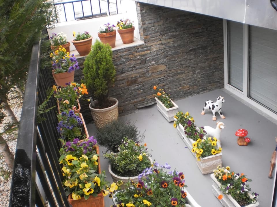 Property building, Balcony/Terrace