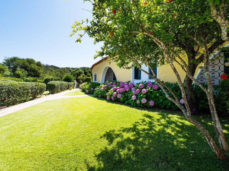 Patio, Garden, Garden view