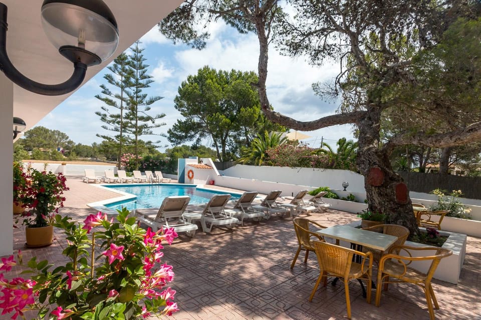 Patio, Garden, Swimming pool