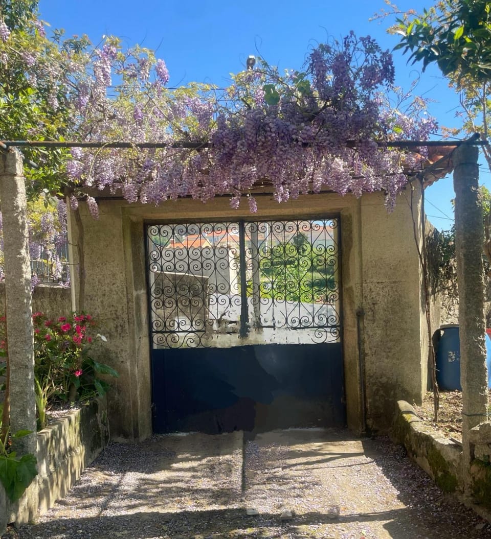 Porto Countryside House Country House in Porto District