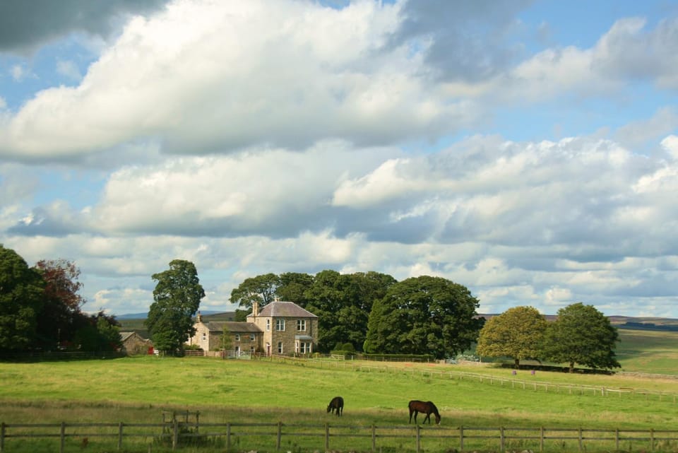 Property building, Natural landscape