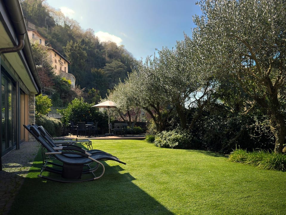Spring, Day, Natural landscape, Garden, Garden view, sunbed