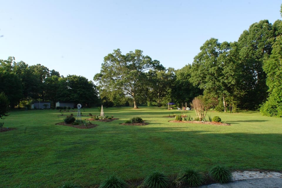 Garden view