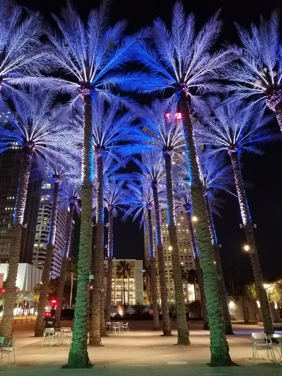 Nearby landmark