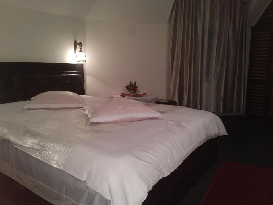 Bed, TV and multimedia, Photo of the whole room, internet, soundproof