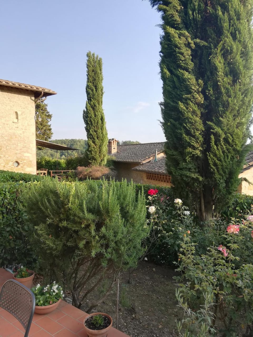 Garden view