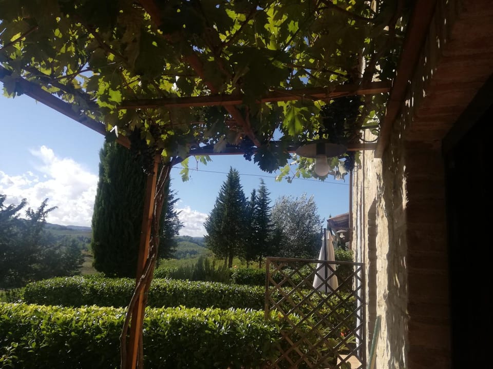 Garden view