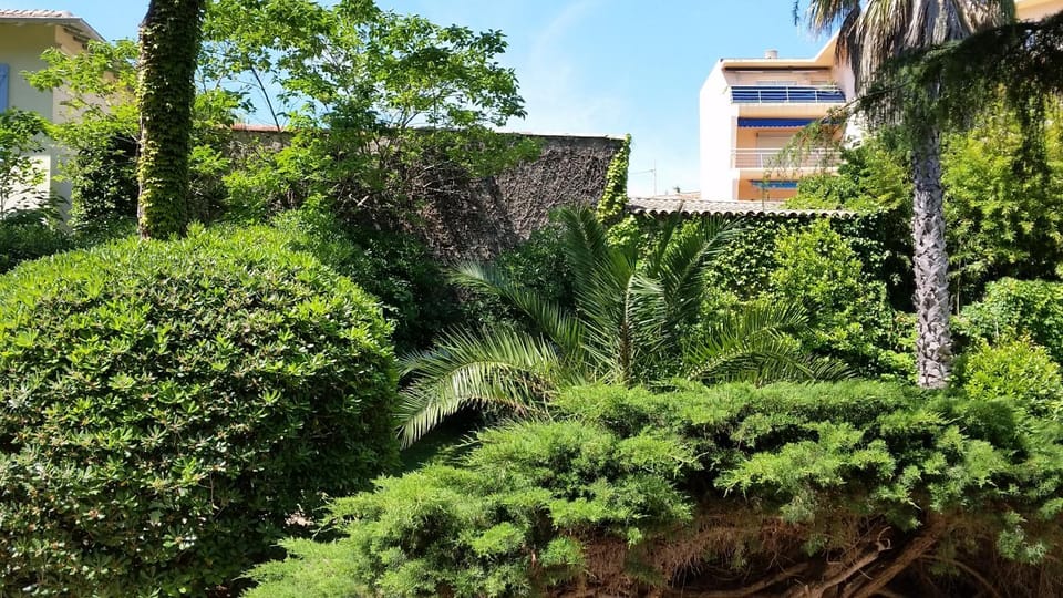 Neighbourhood, Garden