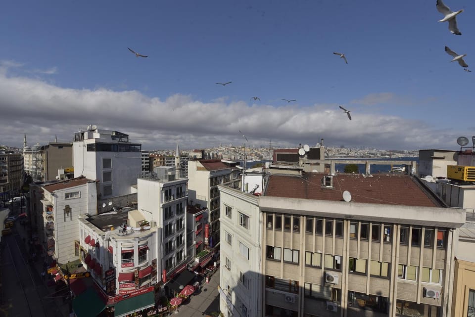 Natural landscape, Other, City view, Landmark view, Sea view, Street view, Area and facilities