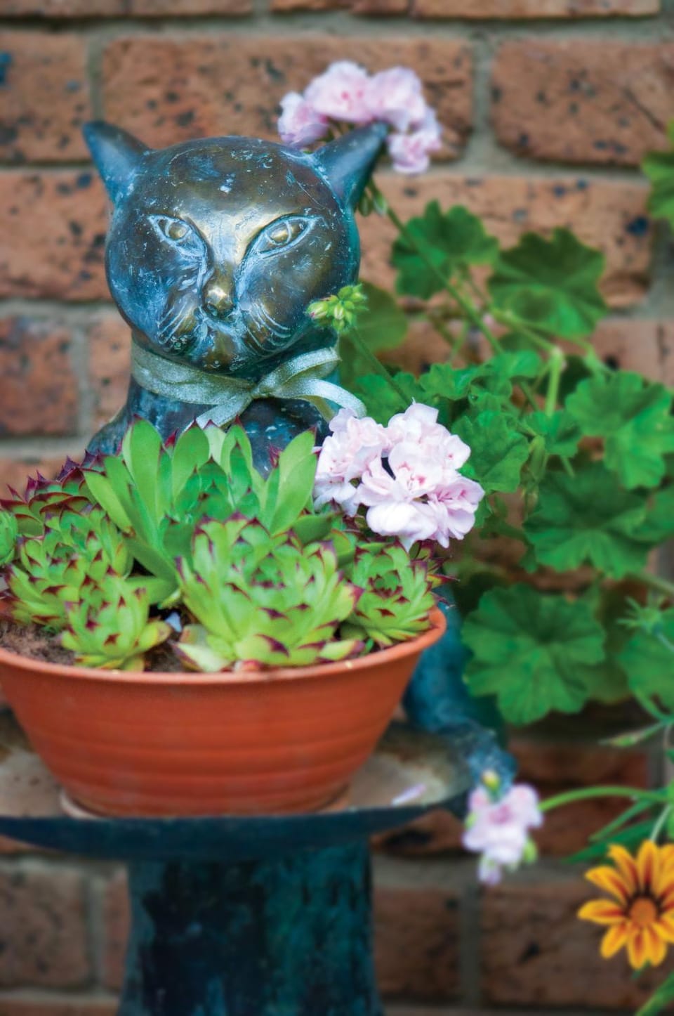 Clifton Gardens Bed & Breakfast - Orange Bed and Breakfast in Orange