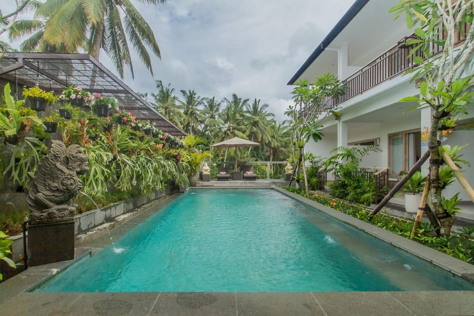 Pool view, Swimming pool