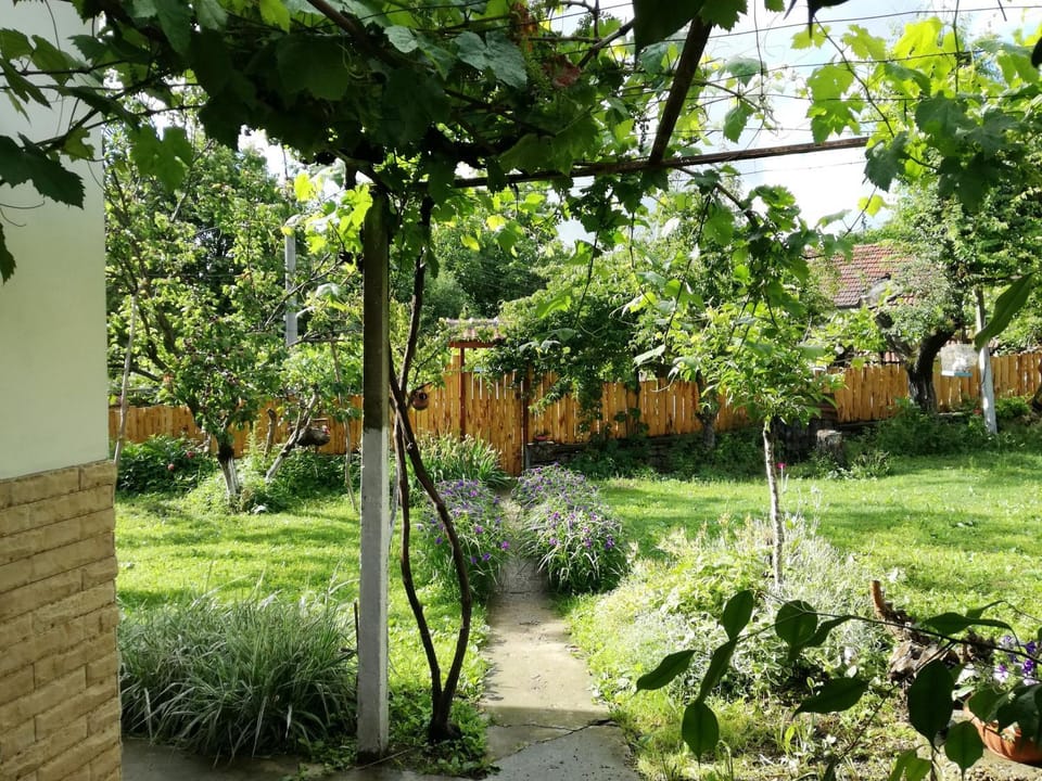 Patio, Garden