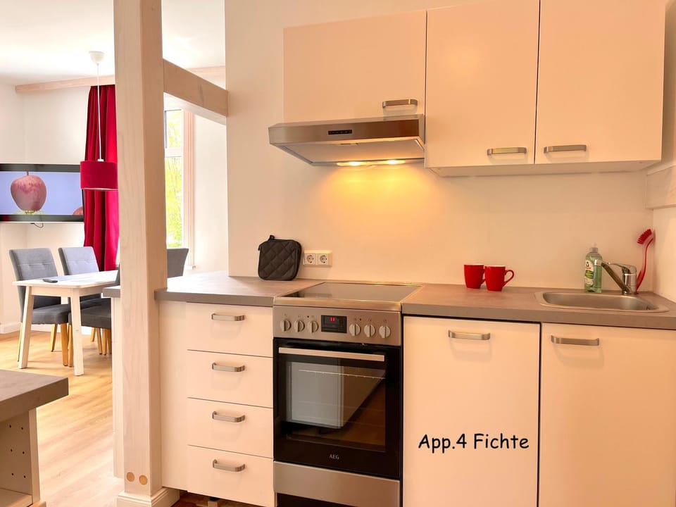Kitchen or kitchenette, dishwasher