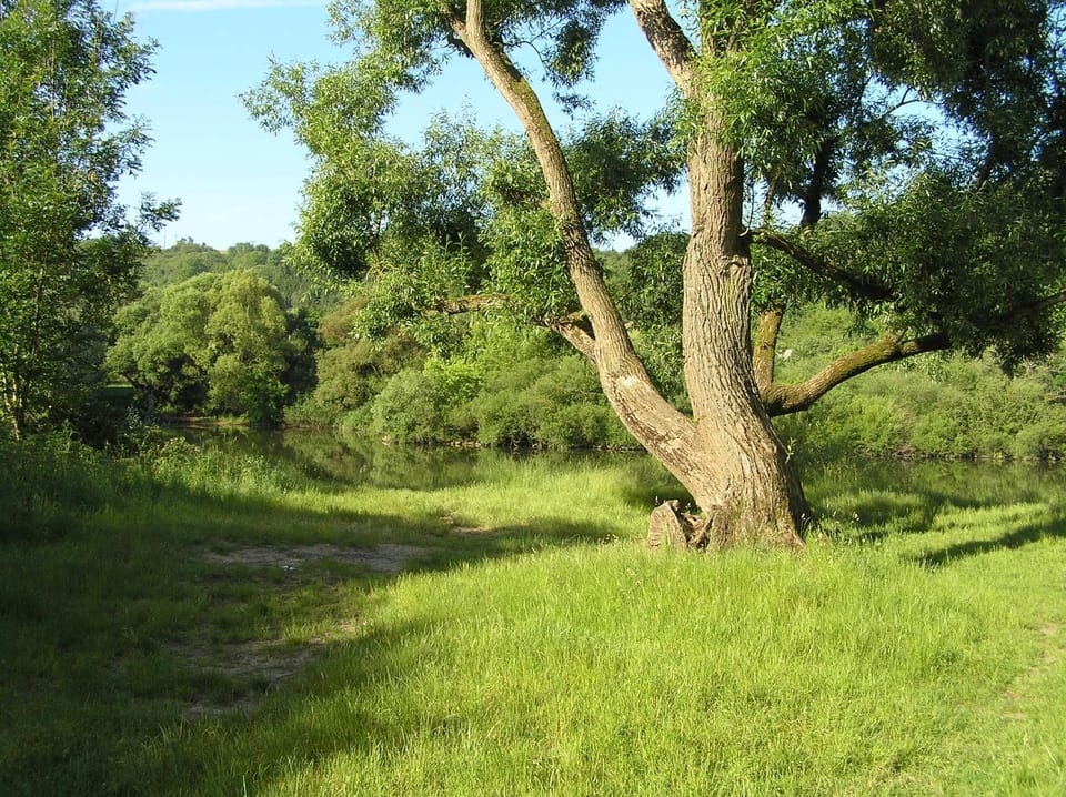 Natural landscape