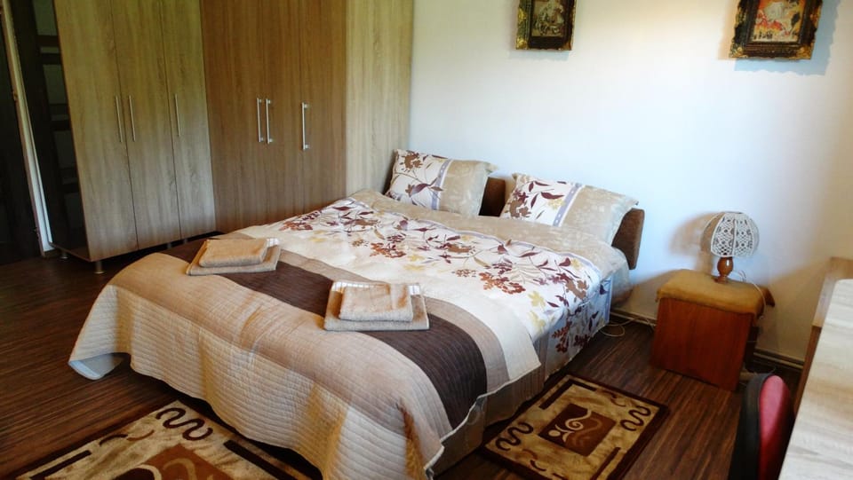 Di-Ana Apartment in Sibiu