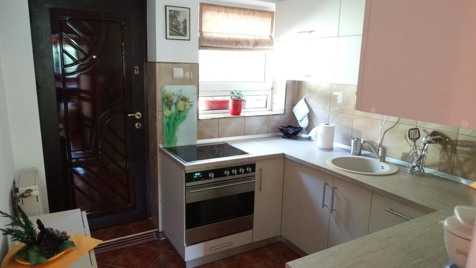Di-Ana Apartment in Sibiu