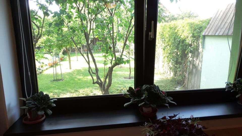 Di-Ana Apartment in Sibiu