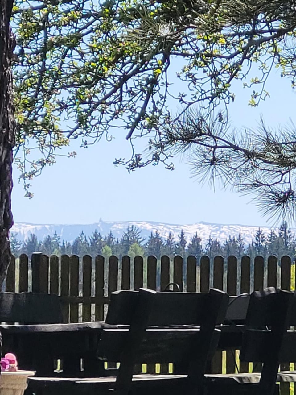 Mountain view