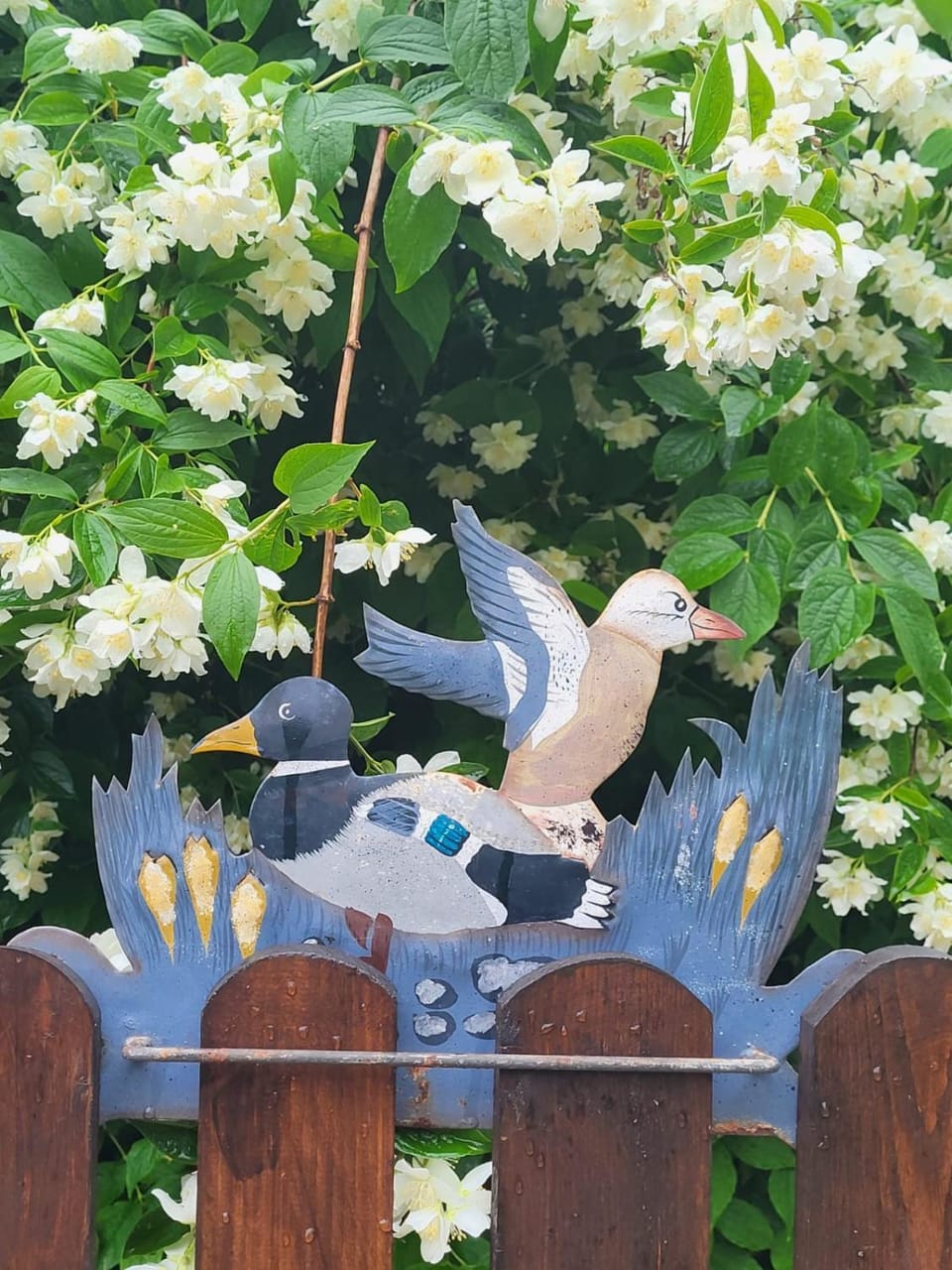 Decorative detail
