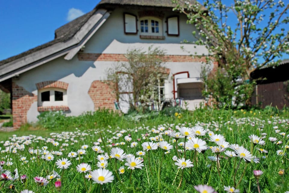 Property building, Spring, Garden, Garden view