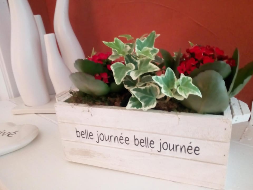 Gite d'Arbûmont House in Wallonia, Belgium