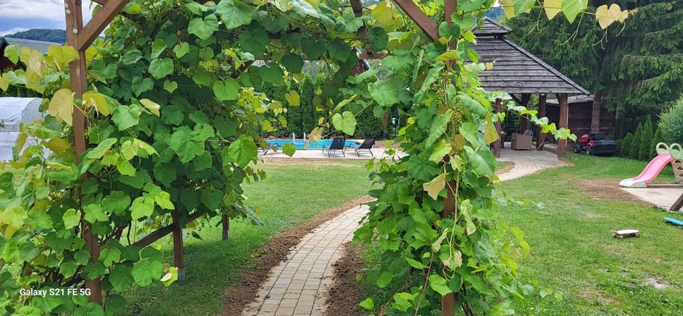 Bobrówka Nature lodge in Poland