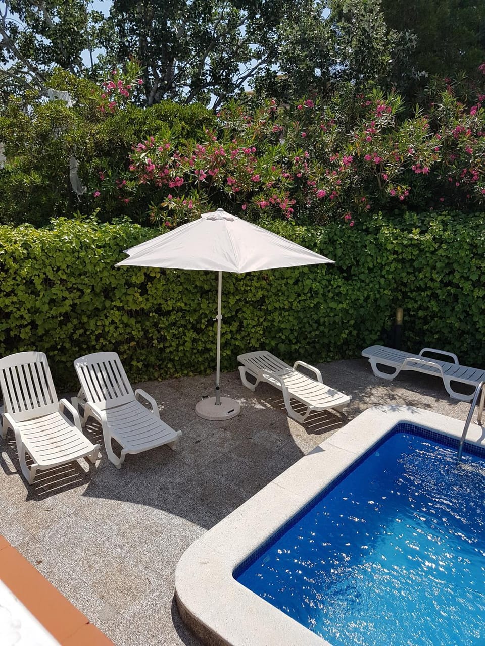 Patio, Garden, Swimming pool