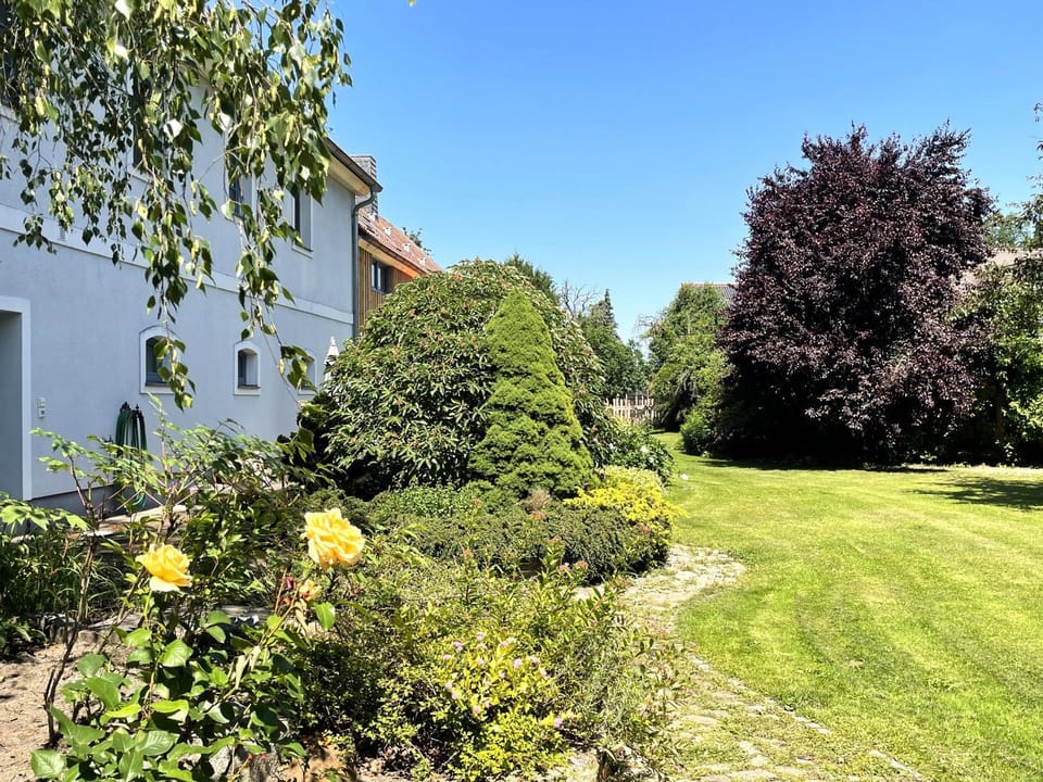 Hof Hanau Farm Stay in Saxony